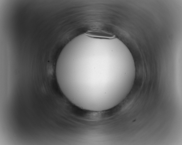 X0000089830084200707191834