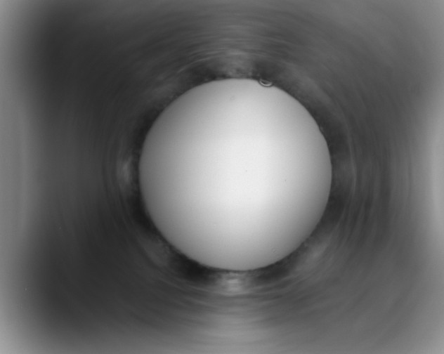 X0000089830088200707191834