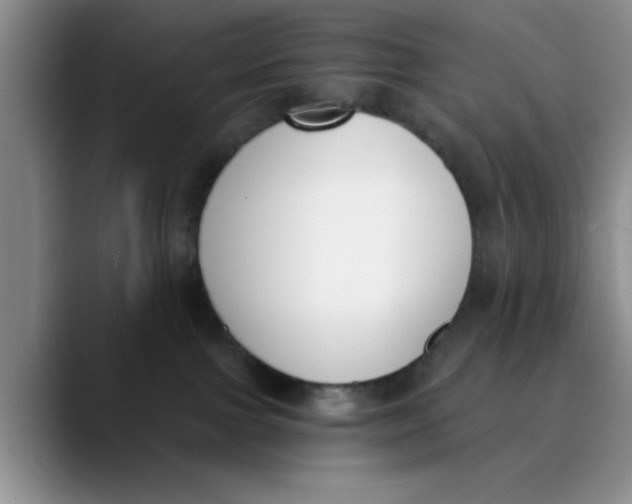 X0000089830091200707191834