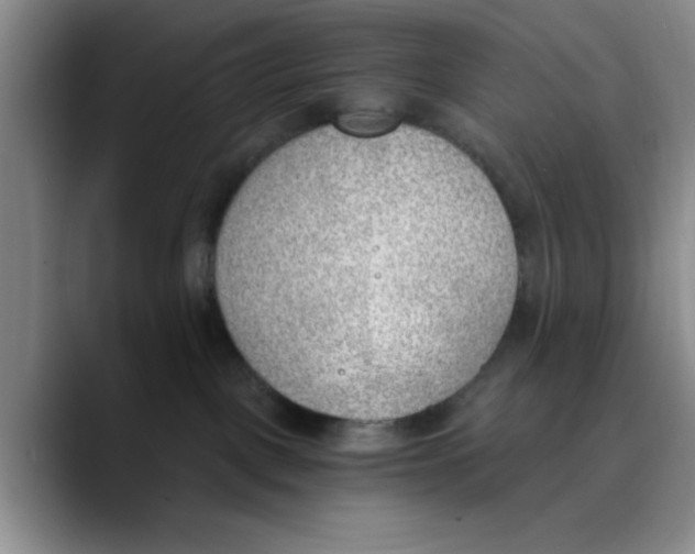 X0000089830093200707191834