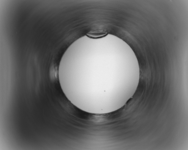 X0000089830095200707191834