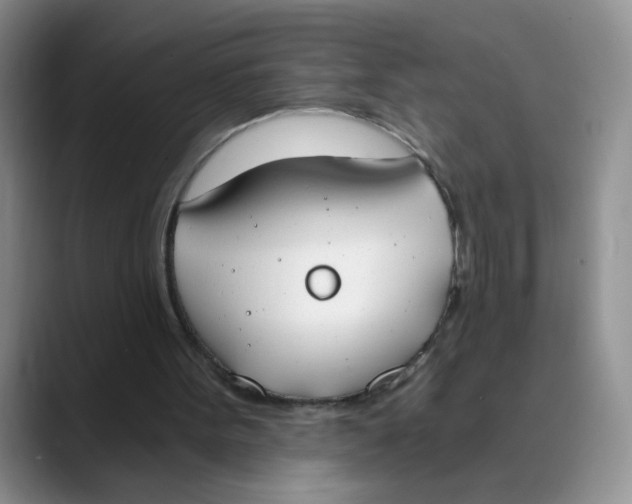 X0000089830099200707191833