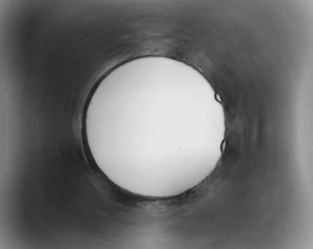 X0000089830100200707191833