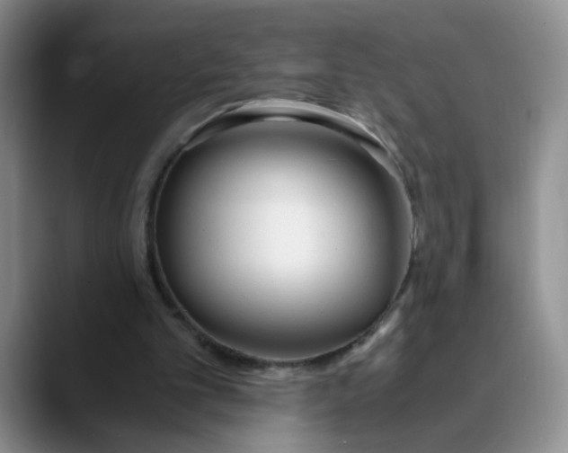 X0000089830101200707191833