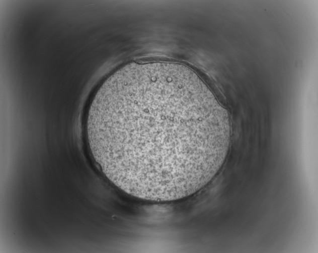 X0000089830102200707191833