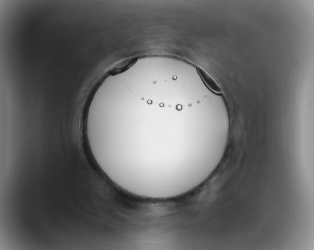 X0000089830103200707191833