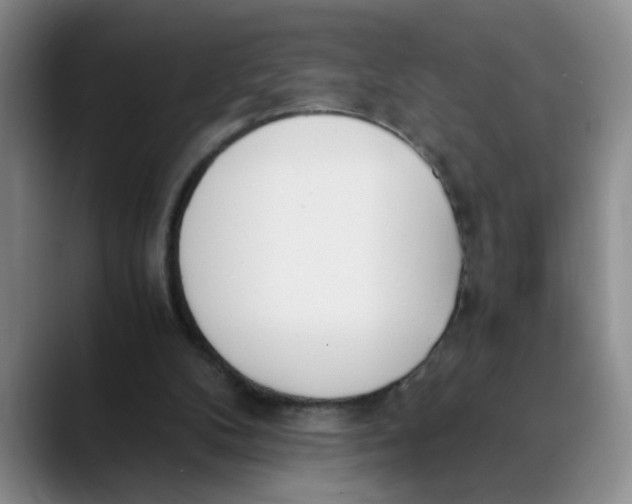 X0000089830104200707191833