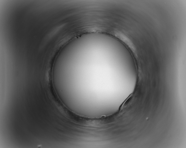 X0000089830105200707191833