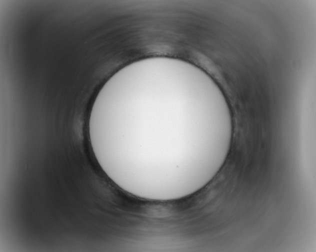 X0000089830106200707191833