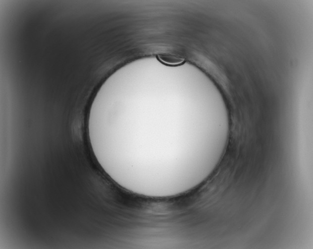 X0000089830107200707191833