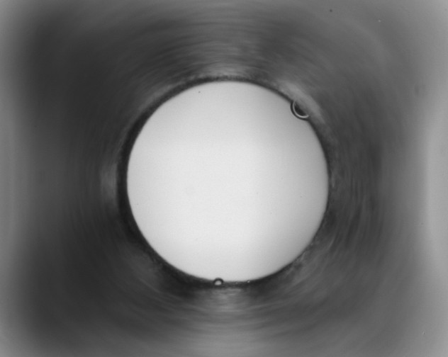 X0000089830108200707191833