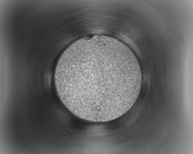 X0000089830110200707191833