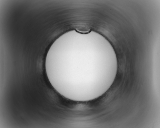 X0000089830111200707191833