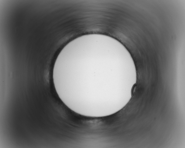 X0000089830112200707191833