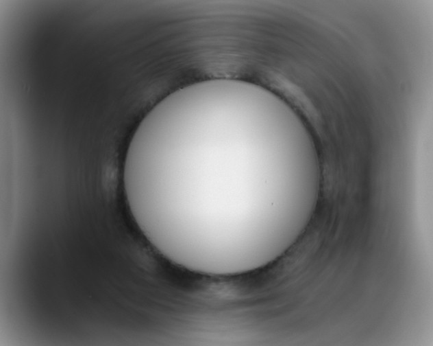 X0000089830113200707191833