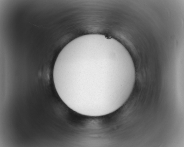 X0000089830115200707191833