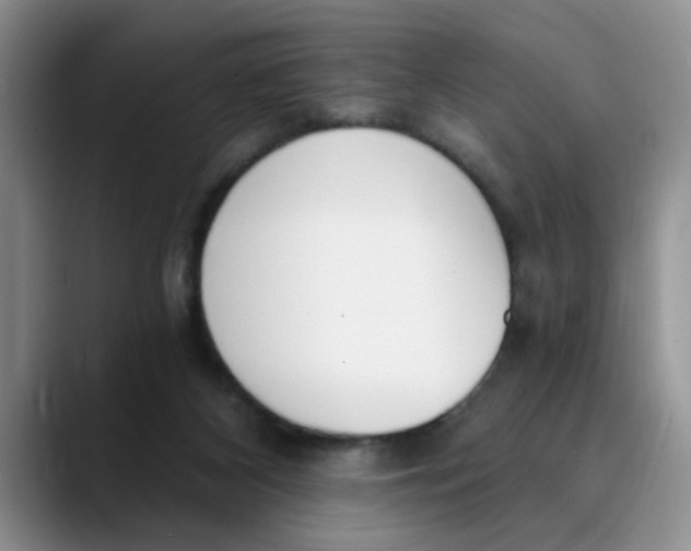 X0000089830116200707191833