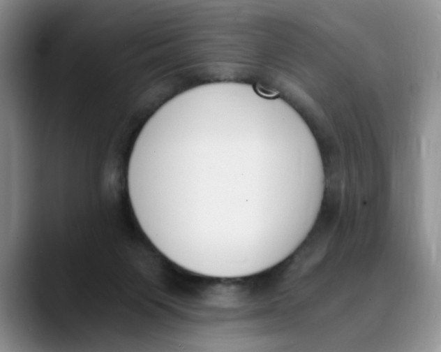 X0000089830119200707191833