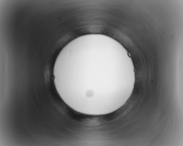 X0000089830120200707191833