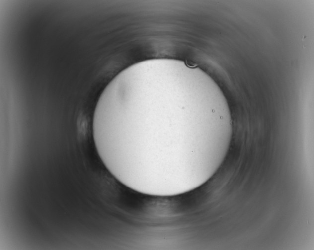 X0000089830123200707191833