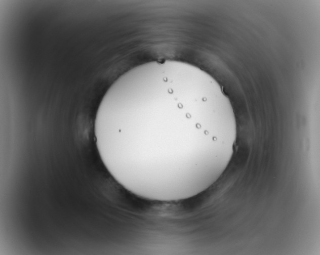 X0000089830125200707191833