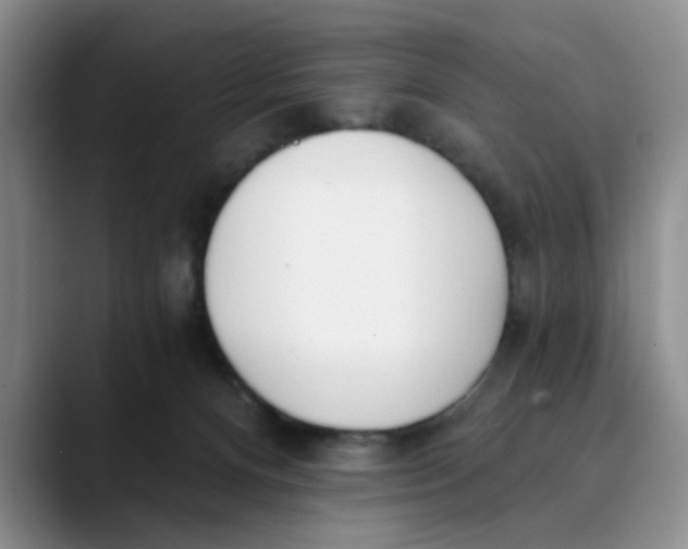 X0000089830128200707191833