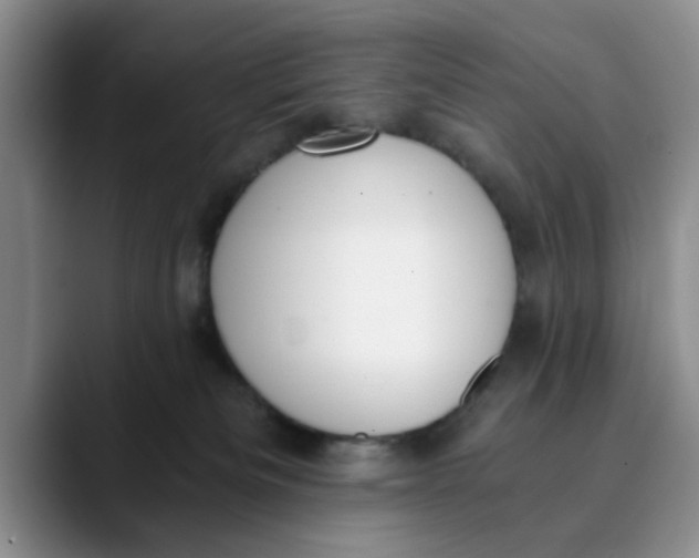 X0000089830133200707191833