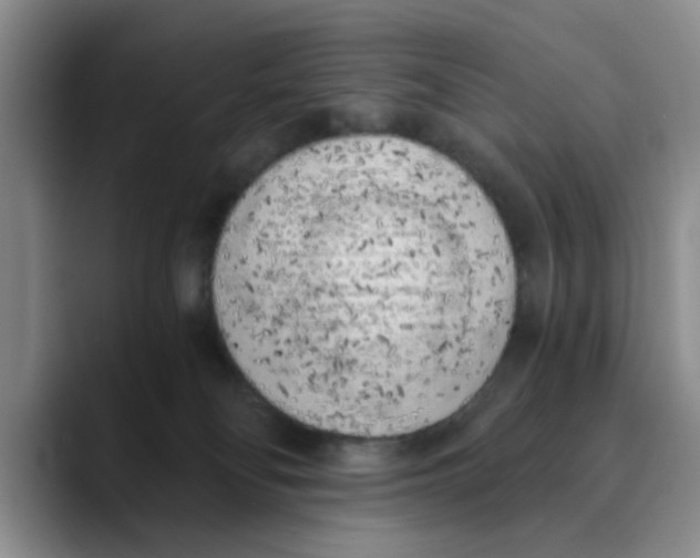 X0000089830134200707191833