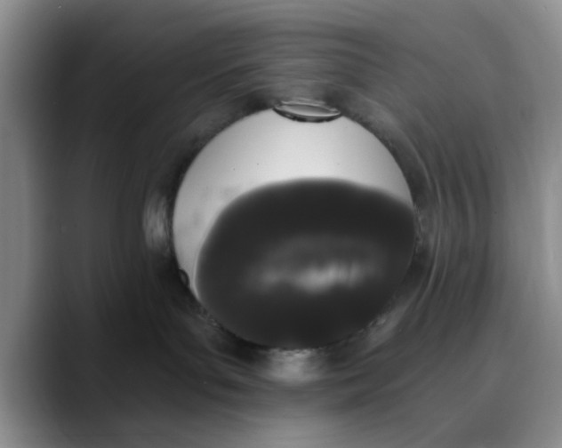 X0000089830143200707191833