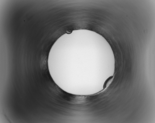 X0000089830144200707191833