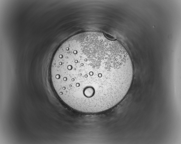 X0000089830145200707191832