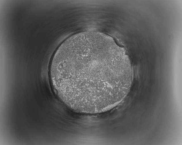 X0000089830147200707191832