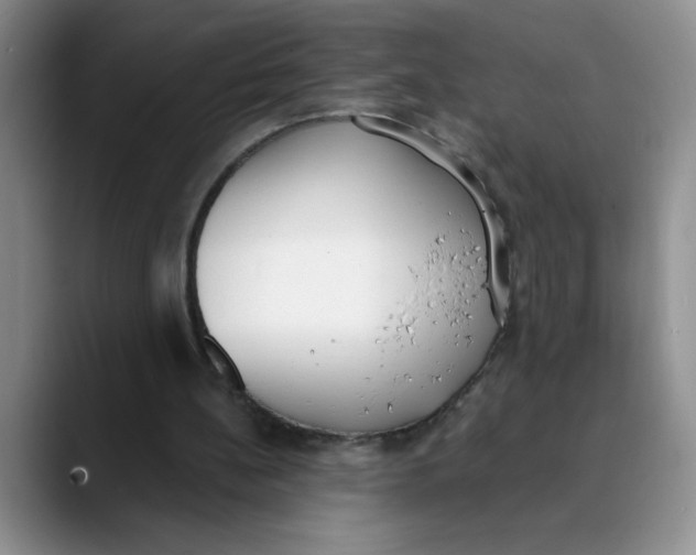 X0000089830148200707191832