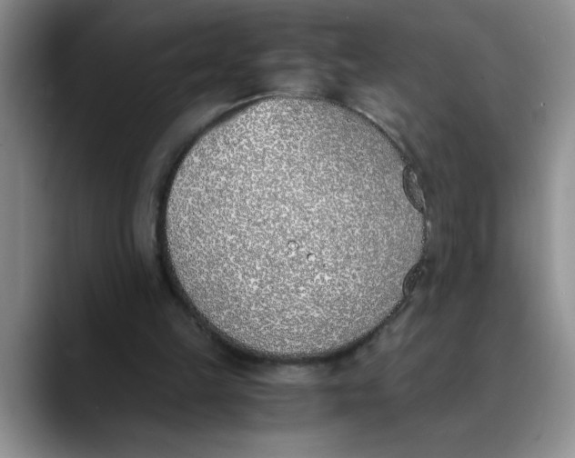 X0000089830149200707191832