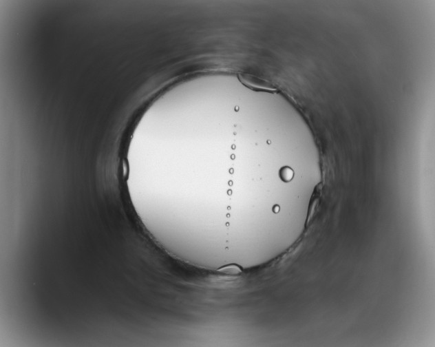 X0000089830150200707191832