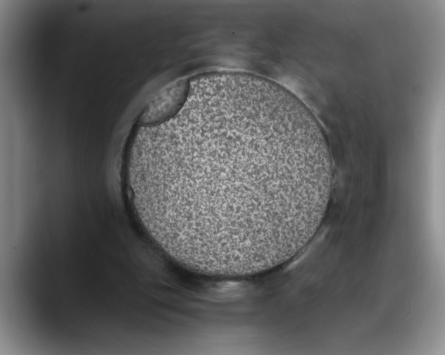 X0000089830151200707191832