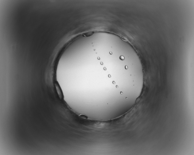 X0000089830152200707191832