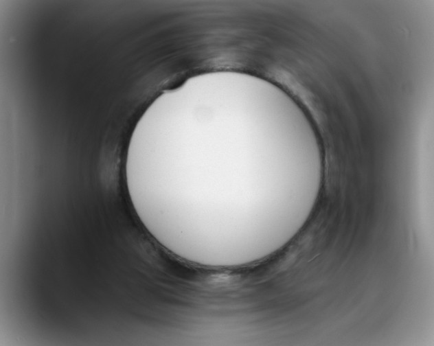 X0000089830153200707191832