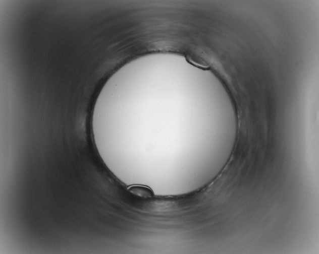 X0000089830154200707191832