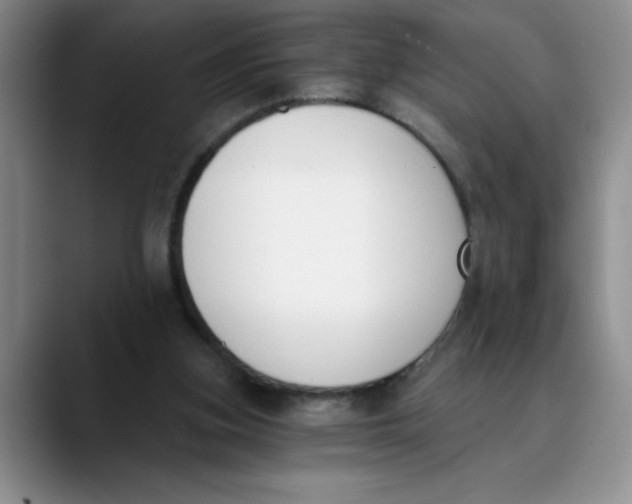 X0000089830155200707191832