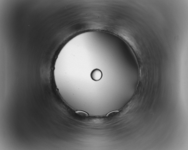 X0000089830156200707191832