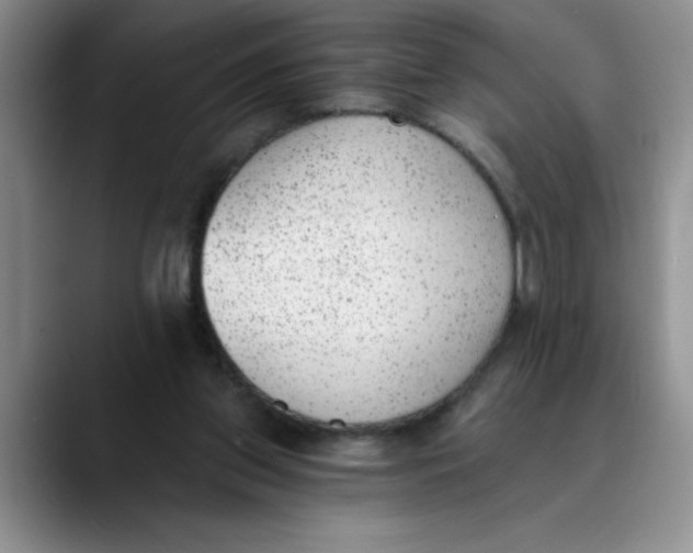 X0000089830157200707191832