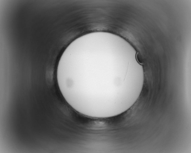 X0000089830159200707191832