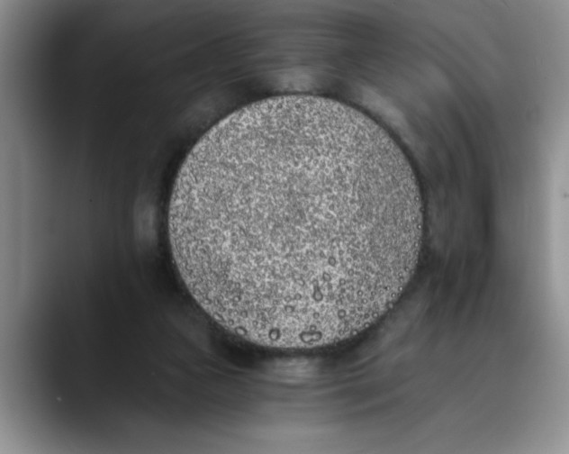 X0000089830161200707191832