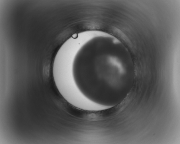 X0000089830163200707191832