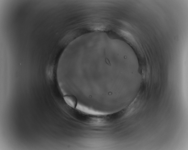 X0000089830167200707191832