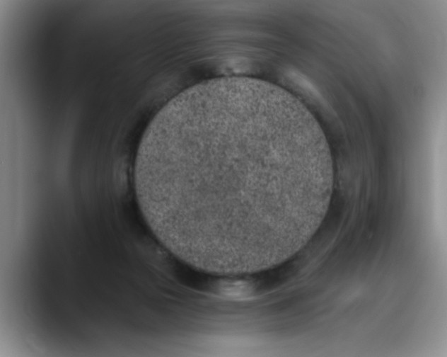 X0000089830169200707191832