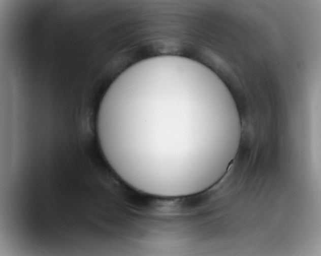 X0000089830170200707191832