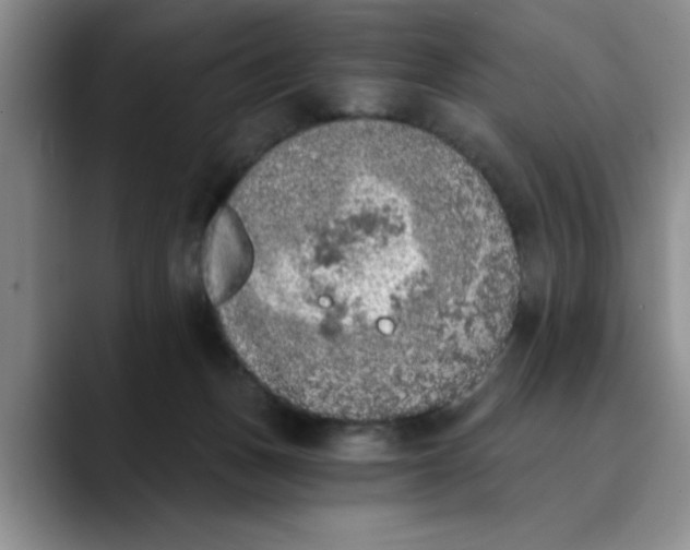 X0000089830175200707191832