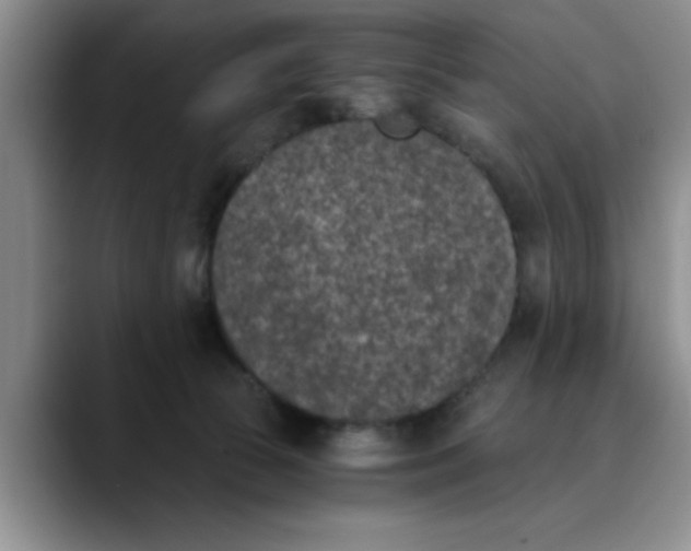 X0000089830177200707191832